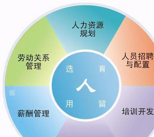 職場百科 人力資源證書怎么考 人力資源證書考試考什么