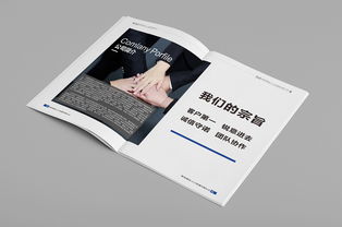 某人力資源公司畫冊設(shè)計賞閱圖